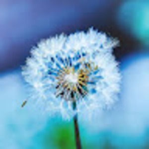 Meet your Posher, Doreen